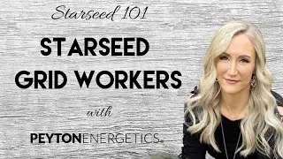 What are starseed grid workers?