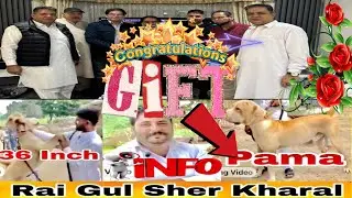 Congratulations 🥳 Ch Basharat Balloh Sahib Pama Dog Gift 💝 Rai Gul Sher Kharal ki taraf sey Mubaraka