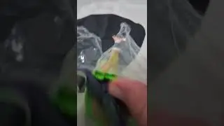 #mielpollito #videosnanino