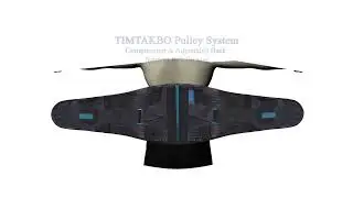T TIMTAKBO Lower Back Brace W/Removable Lumbar Pad for Men Women Herniated Disc,Sciatica,Scoliosis