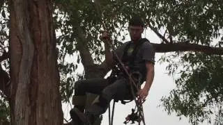 zen master's quad rescue