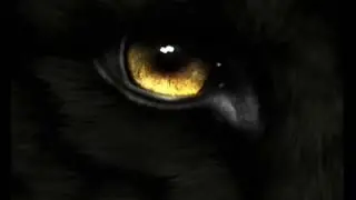 Druga Strona Medalu - Sp&oacute;jrz mi w oczy [cuty Dj Avens]