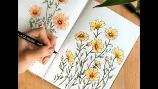 How to paint flowers with Copic markers 🎨
