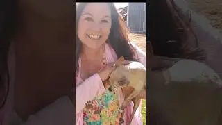 My Super Power Is.... (Great with Dogs Actor Skills Clip)