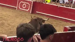 Espectacular vaca de Adrian Dominguez en Cortes.803