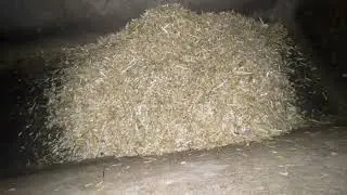 Horse farm