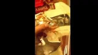 SAO Asuna 1/8 figurine unboxing