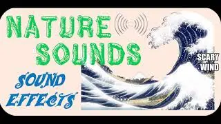 Nature Sounds | Scary Wind