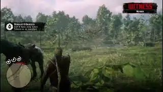 I HATE THE WANTED SYSTEM IN RDR2