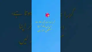 kite flying video Basant festival memories #LahoreBasant #vasant #amritsarkiteflying