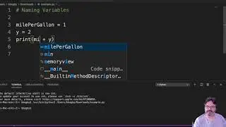 Naming Variables python