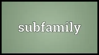 Subfamily Meaning