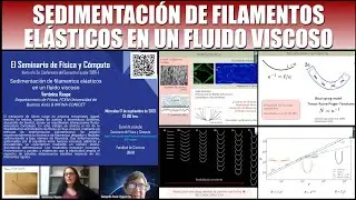 Sedimentaci&oacute;n de filamentos el&aacute;sticos en un fluido viscoso (Ver&oacute;nica Raspa)