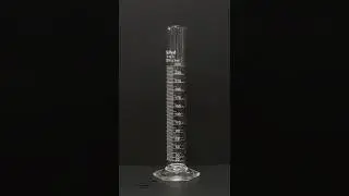This is the Barking Dog experiment