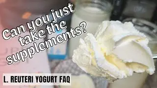 🤍L. Reuteri :: Can you just take the supplement rather than making yogurt?