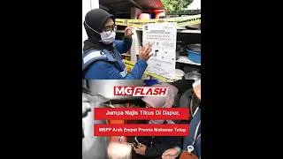 Jumpa Najis Tikus Di Dapur, MBPP Arah Empat Premis Makanan Tutup #MGFlash