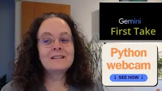 Gemini AI and Python: My first app.  #BuildwithGemini