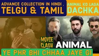 Animal Movie Advance collection day 1, Clash and Business view|Animal ko Laga dachka | #ranbirkapoor