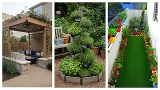 Modern garden delight || Elevate your outdoor oasis with contemporary elegance ideas #garden #home