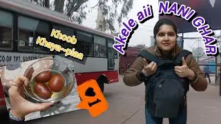 Akele travel kra 🏠 || Nani se kahani suni Sakath Chauth ki || Roti bnai khudse || feat. thevanslife 
