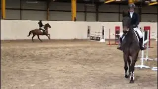 Foxy 1st in the TRM 1.15m at Jag 11/2/24