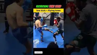 Kickboxing Feint Setup | Low Kick + Flying Knee KO Combo #kickboxing #muaythai #mma #boxing #shorts