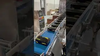Check Weighing and Sorting Conveyor.