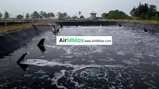 Dest solution for high density shrimp farming: nano bubble diffuser