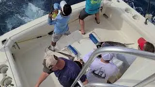 keith lewis mahi mahi