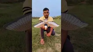 Revolve Fly eagle bird unboxing and testing #shorts #eagle #bird #toys