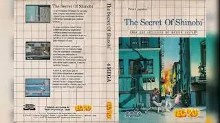 Shadow Dancer: The Secret of Shinobi (Master System): 10-11-BONUS STAGE 2(MD) / RESULT EXTRA-PLAYER