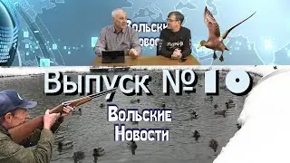 Вольские Новости выпуск №10 (5.02.2026)