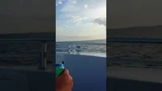 Sea Blaster Destin Florida