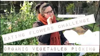 EATING FLOWERS CHALLENGE | PICKING ORGANIC VEGETABLES
