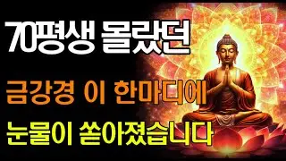 스님이 직접 알려주신 금강경 핵심 요약 | 제상개공 깨달으면 남은 인생이 달라집니다 | 불교 지혜