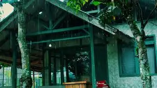 Heavy Rain on an Old Wooden House | Cozy ASMR for Deep Sleep