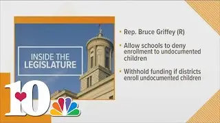 TN lawmaker wants to pull money from schools based on undocumented immigrant children enrollment
