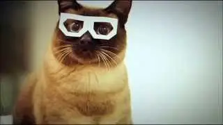 dubstep cat full song  sssShawnnnn - Swag Music (Psyche Fix Dubstep VIP)