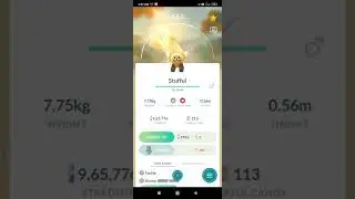My golden bear 🐻🐻🐻in pokemon go #pokemon#shorts#vstechofficial#