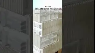 Your Custom Eco-Friendly Packaging Solution: From Concept to Delivery.