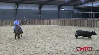 2017 Sorrel Gelding by Dual Rey in training with Cullen Chartier