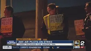 Airline seeks court order to end cargo pilot strike