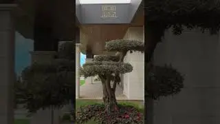 Luxury Villas With Lake View In Istanbul .