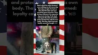 🐕❄️ Deaf Rescue Dog Becomes True Hero &ndash; Loyalty Wins!