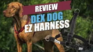 Dex Dog EZ Harness for Dogs Review (2018)