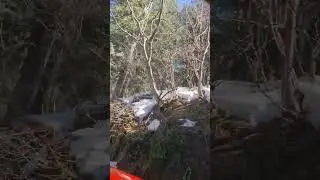 travel to shogran 2023