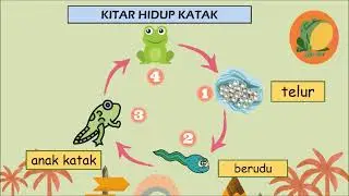 KITAR HIDUP KATAK II SAINS AWAL KANAK-KANAK PRASEKOLAH