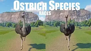 Ostrich Species Animals Races in Planet Zoo in 4K UHD included North African Ostrich