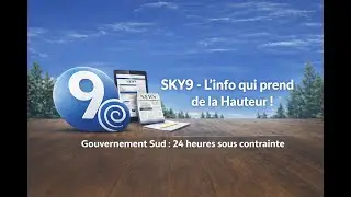 Sky9 - UnityRP | Gouvernement Sud : 24 heures sous contrainte