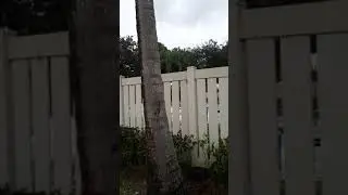 Baywood village 2 in coconut creek fl